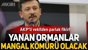 AKP'li Hamza Dağ'dan orman yangınları sonrası parlak fikir: Mangal kömürüne dönüştürülecek