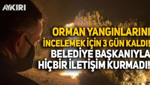 Bekir Pakdemirli'nin yangını incelemek için 3 gün kaldığı Hatay'da belediye başkanını hiç aramadığı ortaya çıktı