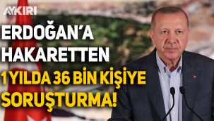 'Cumhurbaşkanı'na hakaret'ten bir yılda 36 bin kişiye soruşturma açıldı