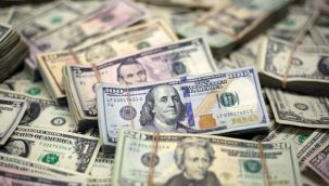 Dolar bir kez daha rekor yeniledi, TL tarihi değer kaybetti