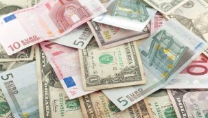 Dolar rekor tazeliyor, Euro 9.14 TL oldu