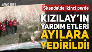 Kızılay'ın kurban etleri ayılara verildi, otelinde Kızılay etleri bulunan Başkan Battal Taşar istifa etti