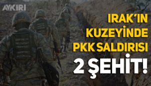 Pençe-Kaplan operasyonunda 2 şehit