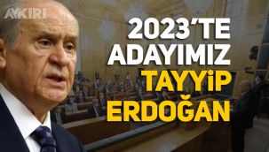 Devlet Bahçeli: