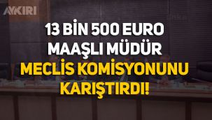 Devletin işlettiği Eti Maden'de 13 bin 500 Euro maaşlı müdür sorulunca Meclis komisyonu karıştı