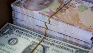 Dolar zirveyi gördü!