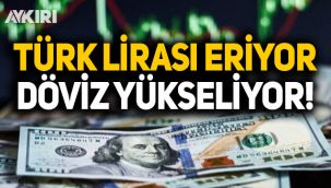 Dolardan yeni rekor 8.13 TL'ye yükseldi, Euro 10 TL'ye dayandı!