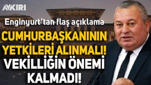 Eski MHP'li Cemal Enginyurt: Cumhurbaşkanının yetkileri alınmalı, milletvekilliğinin önemi kalmadı