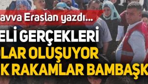 Gülcan Havva Eraslan: Suriyeli gerçekleri