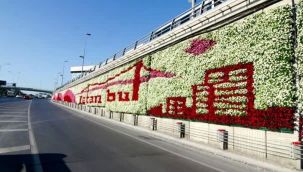 İBB Meclisi'ni karıştıran dikey bahçe tartışması