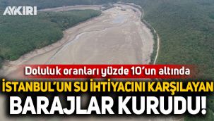 İstanbul'un su ihtiyacını karşılayan barajlar kurudu
