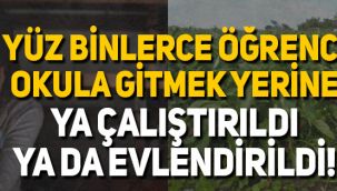 MEB raporunda flaş veriler: 86 bin öğrenci okul yerine ya tarlalara gitti ya da evlendi!