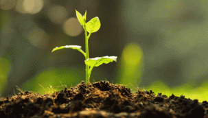 Spor Kulüpleri Hatay için seferber oldu