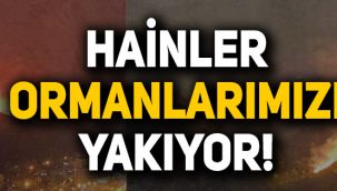 Türkiye'de birçok ilde orman yangını: Trabzon, Hatay, Kahramanmaraş, Osmaniye...