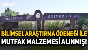 Üniversiteye bilimsel araştırma ödeneği ile mutfak malzemesi alınmış
