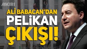 Ali Babacan'dan Pelikan çıkışı: 