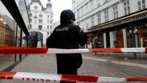 Avusturya'nın başkenti Viyana'da teröristler sinagog'a ateş açtı! 