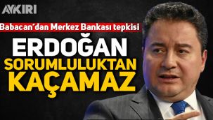 Babacan'dan Merkez Bankası tepkisi: Erdoğan sorumluluktan kaçamaz