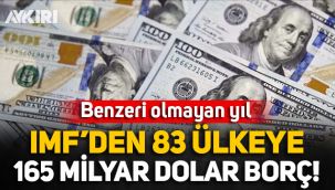 Benzeri olmayan yıl: IMF'den 83 ülkeye 165 milyar dolar borç