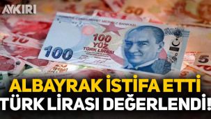 Berat Albayrak'ın istifasının ardından Türk Lirası değer kazandı!
