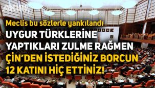 Lütfü Türkkan: 