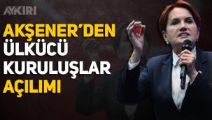 Meral Akşener'den Avrupa'da Ülkücü kuruluşların yasaklanmasına tepki