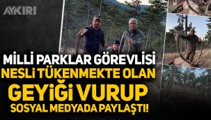 Milli parklar görevlisi nesli tükenmekte olan geyiği vurup sosyal medyadan paylaştı!