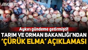 Tarım ve Orman Bakanlığı'ndan 'Çürük elma' açıklaması: 