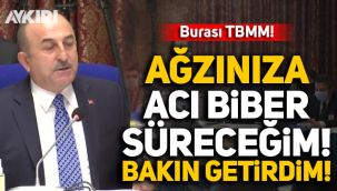 TBMM'de ilginç diyalog: Ağzınıza biber süreceğim, bakın getirdim!