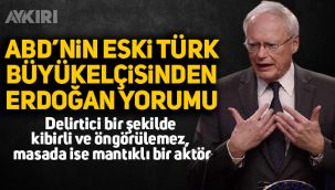 ABD'nin eski Türkiye Büyükelçisinden Erdoğan yorumu
