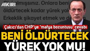 Alaattin Çakıcı'dan CHP'ye 'mafya bozuntusu' cevabı: Beni öldürtecek yürek yok mu?