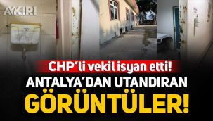 CHP'li Milletvekili Cavit Arı isyan etti! Antalya'dan utandıran görüntüler... 