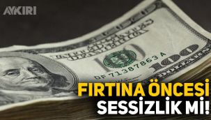 Dolarda son durum