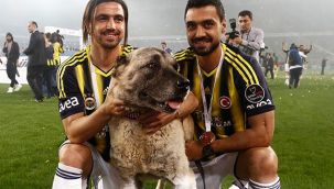 Fenerbahçeli eski futbolcu Mehmet Topuz dolandırıldı!