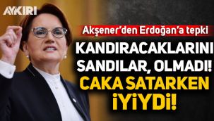 Meral Akşener'den Erdoğan'a vaka tepkisi: Herkesi kandırabileceklerini sandılar, olmadı