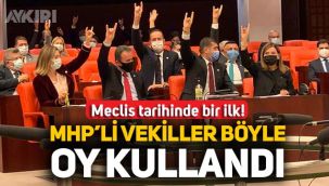 MHP'li vekiller oylarını Bozkurt yaparak kullandı