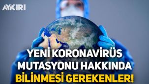 Mutasyona uğrayan virüse 