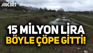 Şehir hastanesi yapılacak diye yıkılan Botanik Park'ta hayvanlar otluyor