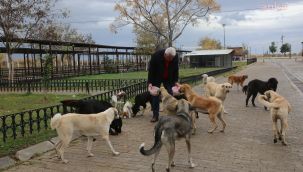 Sokağa çıkma yasağında sokak hayvanlarını unutmadılar