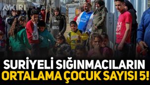 Suriyeli sığınmacıların ortalama çocuk sayısı 5!