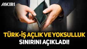 TÜRK-İŞ: Açlık sınırı 2 bin 590 TL, yoksulluk sınırı 8 bin 436 lira!