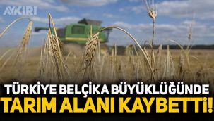 Türkiye Belçika büyüklüğünde tarım alanı kaybetti!