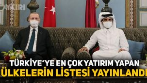 Türkiye'ye en çok yatırım yapan ülkelerin listesi yayınlandı