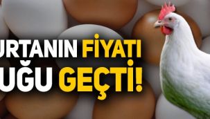 Yumurtanın fiyatı tavuğu geçti!