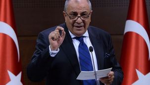 AK Partili Tuğrul Türkeş: Azgın milliyetçiliğe karşıyım