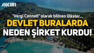 Devlet 'Vergi Cenneti' olarak bilinen ülkelerde 14 şirket kurmuş!