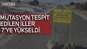 Diyarbakır'da mutasyonlu koronavirüs tespit edildi 