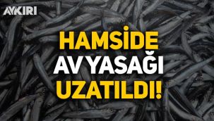 Hamside av yasağı 28 Ocak’a uzatıldı