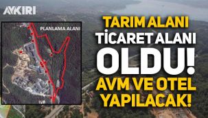 İstanbul'da 111 bin metrekarelik tarım alanı 'ticaret alanı' oldu, AVM ve otel yapılacak!
