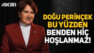 Meral Akşener: Doğu Perinçek bu yüzden benden hiç hoşlanmaz